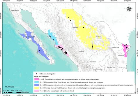 Map Of Level Iv Ecological Regions Ecoregions Of Mexico Where Gm