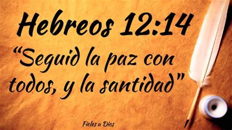 La Biblia Hebreos 1214 Images And Photos Finder