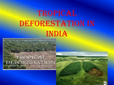 Ppt Tropical Deforestation In India Powerpoint Presentation Free