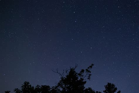 Free Images Sky Night Atmosphere Tree Star Astronomy