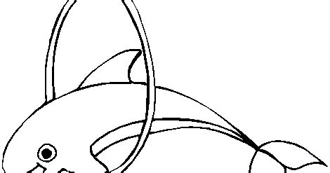 coloring pages fun dolphin coloring pages