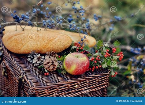 Still Life Of Autumn Picnic Royalty Free Stock Photography Image