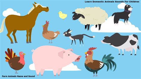 Farm Animals Name And Sound Learn Domestic Animals