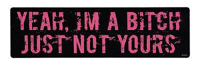 Bumper Sticker Yeah I M A Bitch Just Not Yours Feminist Movement Resister Ebay