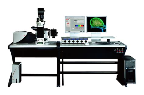 Leica Confocal Sp5 Blue Advanced Light Microscopy And Spectroscopy Lab