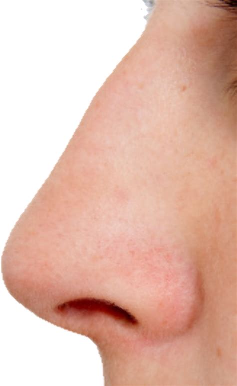 Download High Quality Nose Clipart Shape Transparent Png Images Art