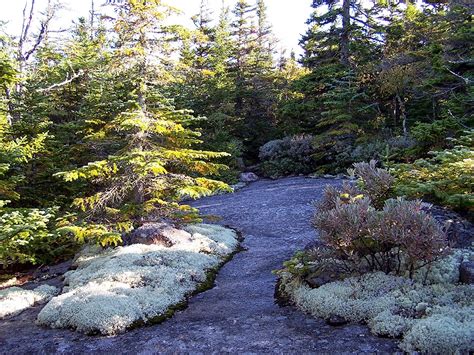 Hiking In The White Mountains Dry River Wilderness Traverse