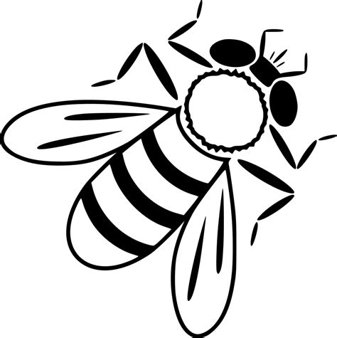 Bee Svg Png Icon Free Download (#438458) - OnlineWebFonts.COM