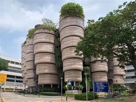 Nanyang Technological University Singapur 2020 Lo Que Se Debe Saber