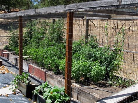 They bring gardening up to a comfortable level, they allow you to garden in a small space stretch the hardware cloth across the table bottom and use small nails or staples to secure in place. Garden Update | Yosemite Tours