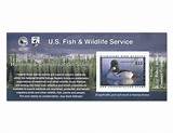 Fishing License Ma Walmart Images