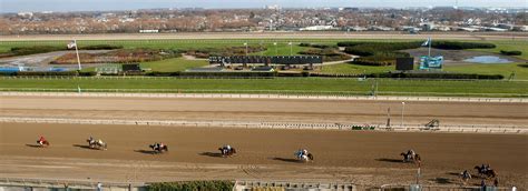 Aqueduct's inner track will become turf course