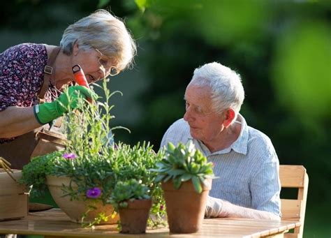 How To Grow A Therapeutic Indoor Garden For Dementia Readementia