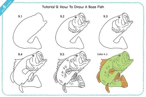 How To Draw A Fish Step By Step For Kids? | Fish drawings ... Easy step by step tutorial for beginners.🙃.