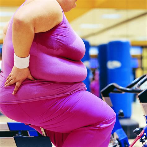 our fight with fat why is obesity getting worse news university of florida