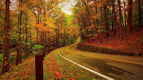 1920x1080 Resolution Autumn Forest Road 1080p Laptop Full Hd