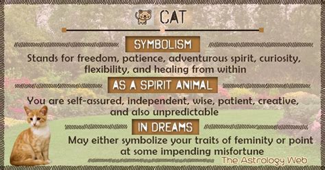 Cat Symbolism Spirit Animal Dream Animal Totem Spirit Guides Cat
