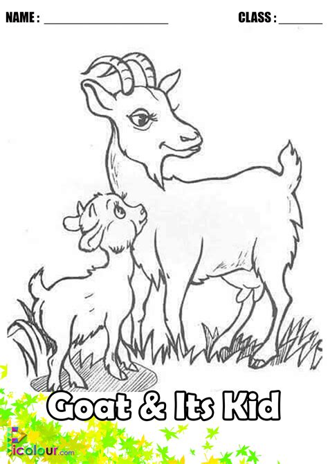 Goat & Its Kid Colouring Pages For Kids - Picolour