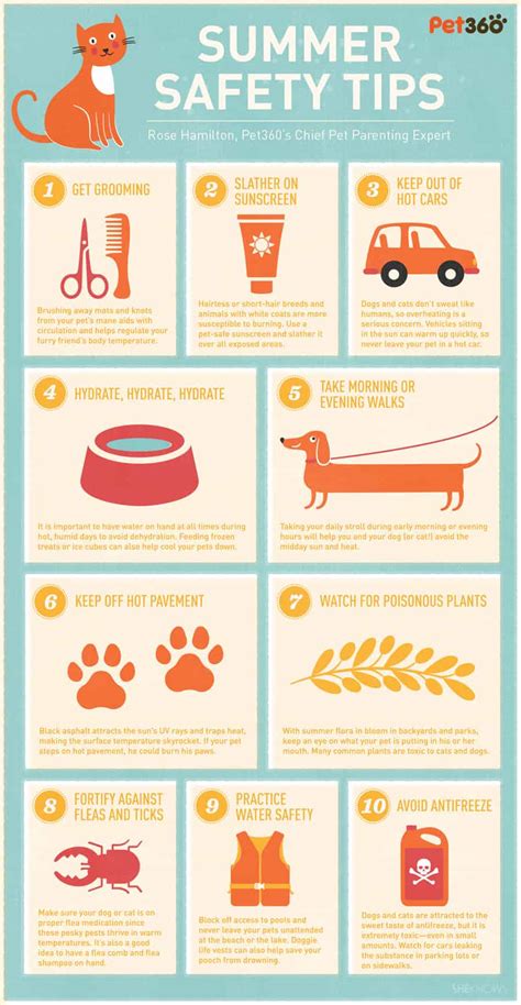 #SummerSafety Tips for Your Dog