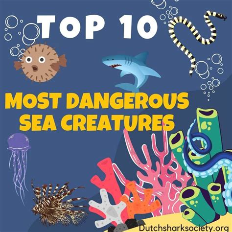 THE 10 MOST DANGEROUS SEA CREATURES IN THE WORLD (2023)