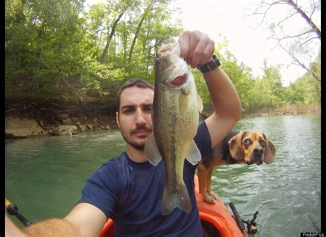 33 Most Ridiculous Animal Photobombs Of All The Time