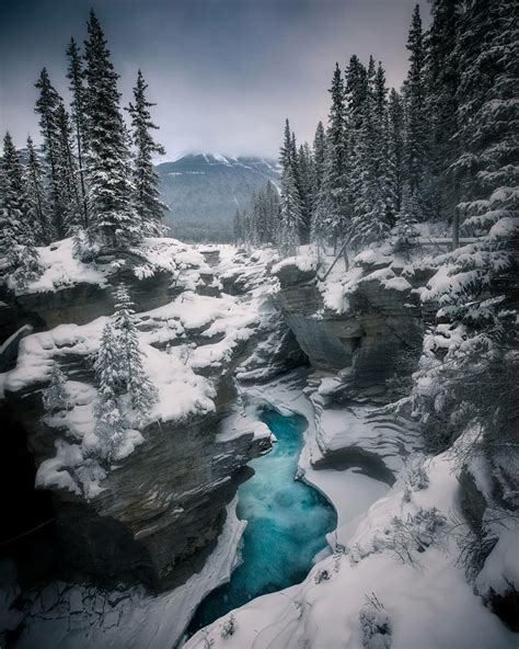 Frozen Athabasca Falls Jasper National Park Alberta