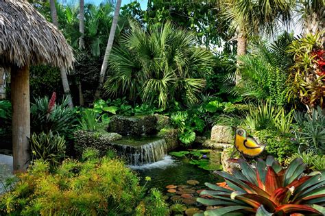 Before you start searching for tropical garden plants for sale online there are a few things you need to know. Tropical Landscaping Design Ideas | HGTV