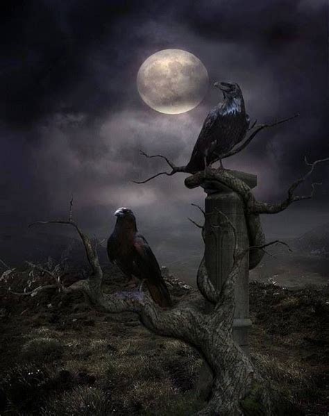 Pin By Anne Merette On Gothic And Fantasy Crow Raven Raven Art
