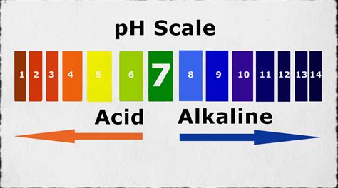 Ph Scale Acid And Alkali