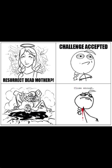 Create a political discussion out of this cat (i.redd.it). Image - 313858 | Challenge Accepted | Know Your Meme