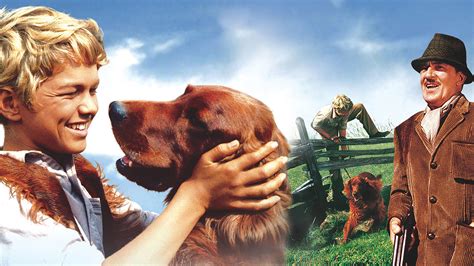 Terrierman's Daily Dose: Disney Dog Training with ...