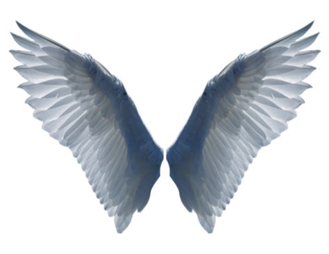 Transparent Background Angel Wings Png