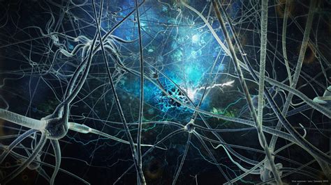 Neuroscience Wallpapers Top Free Neuroscience Backgrounds