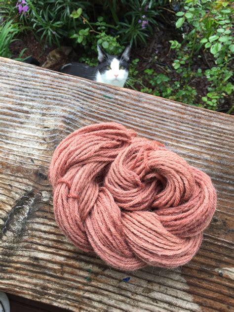 We did not find results for: Avocado Dye with pits and skins | Avocado dyeing, Plant ...