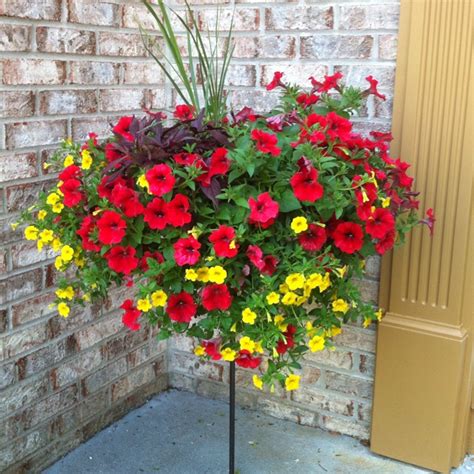 New Ways To Use Hanging Baskets Window Box Container Gardening