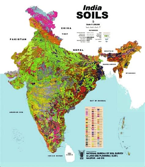 Map Of India Major Soil Types Maps Of The World Images