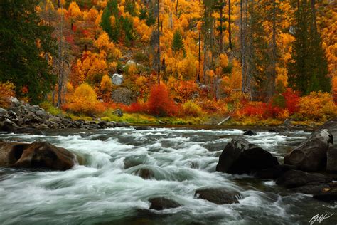 F284 Fall Color Wenatchee River Tumwater Canyon Washington Randall
