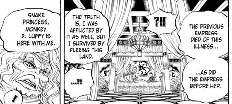 Do We Already Know The Former Empress Of Amazon Lily After Shakky And Before Hancock One Piece