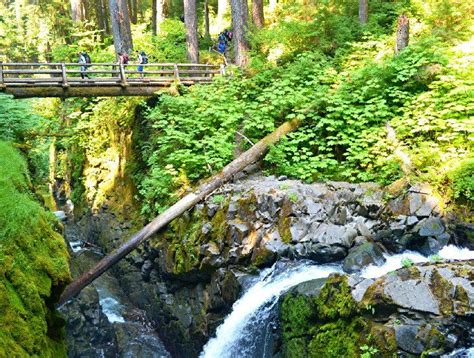 Sol Duc Falls Best Campgrounds Olympic National Park National Parks