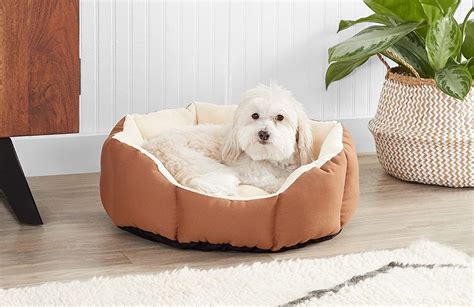 The 10 Best Dog Beds To Shop Now According To Thousands Of Reviews