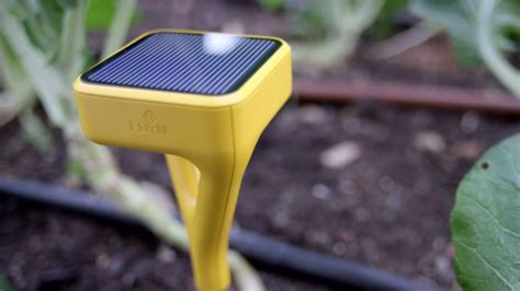 This Smartgarden Device Will Finally Make Your Garden Grow Smart