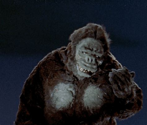 Godzilla (1963), 66 years after the original godzilla. king kong vs. godzilla too bright gif | WiffleGif