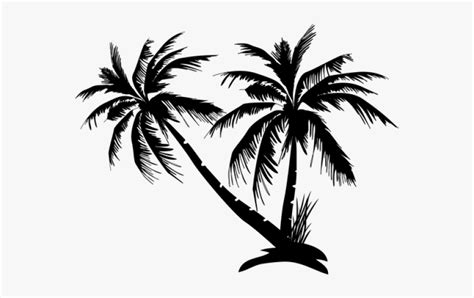 Check spelling or type a new query. Palm Tree Silhouette Png - Palm Trees Icon Transparent ...