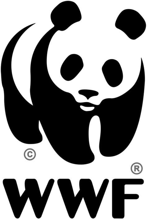 Les Pandas Ce Que Jen Pense Les Pandas Parce Que Je Ne Vois Pas