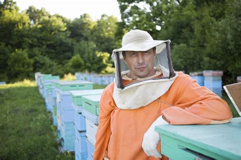 Termite and pest control, lawn care, wildlife extraction, pest control insulation and moisture control services. 5 Ways to Protect Yourself From Heat, Dehydration & Bugs ...