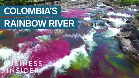 Rainbow River In Colombia Is The Most Beautiful In The World Youtube
