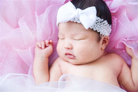 Background Foto Peta Fotografi Bayi Potret Bayi Baru Lahir Yang Lucu