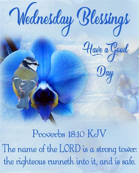 Good Morning Everyone Happy Wednesday I Pray That You Have A Safe
