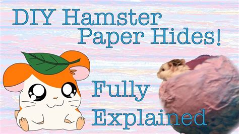 Bitting bars can result in chipped teeth. DIY Paper Hamster Hideout! - YouTube