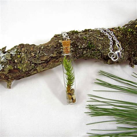 Moss Necklace Terrarium Necklace Nature Jewelry Glass Vial Etsy